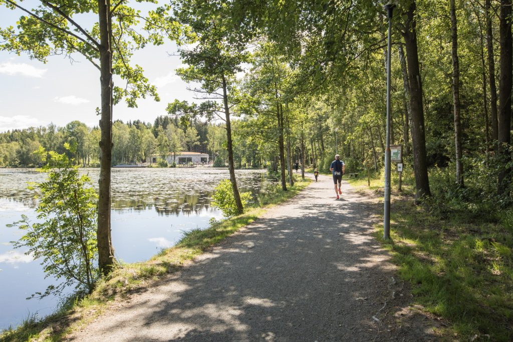 Promenadstig längs vattnet vid Svarte mosse
